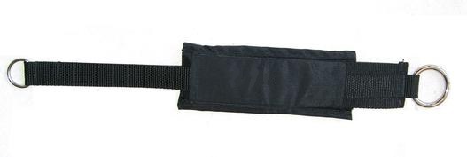 Padded Wrist/Ankle Strap